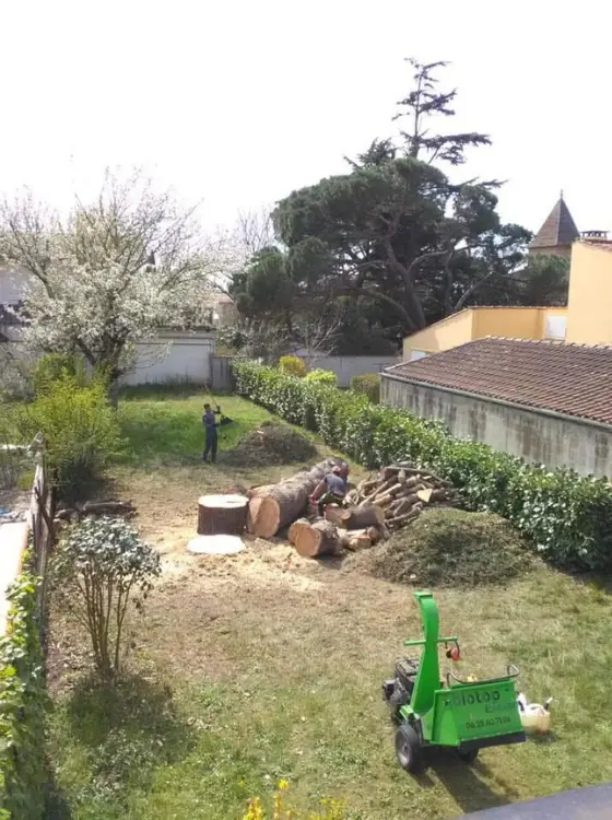 Broyage de branches sur chantier