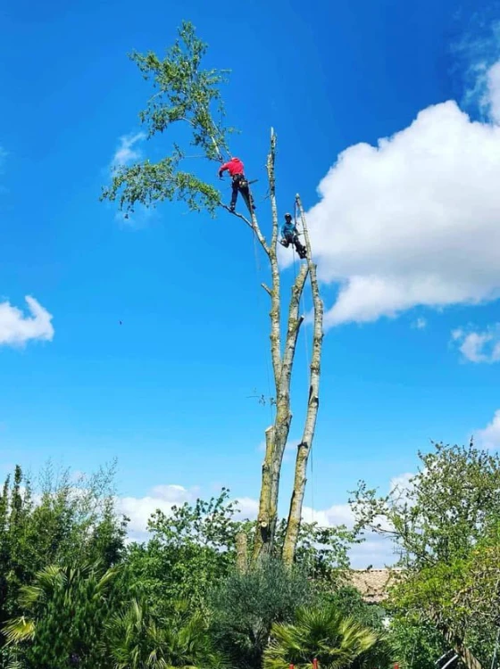 Travail en hauteur sécurisé
