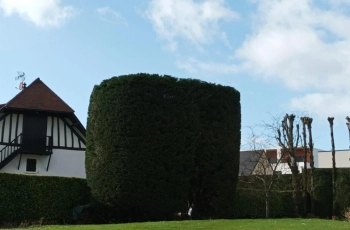 Entretien espace vert Oise