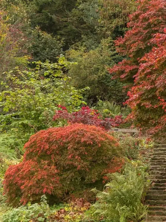 Jardinier au travail