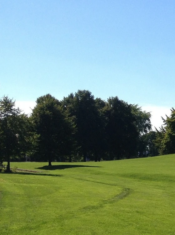 Terrain nivelé prêt à recevoir le gazon