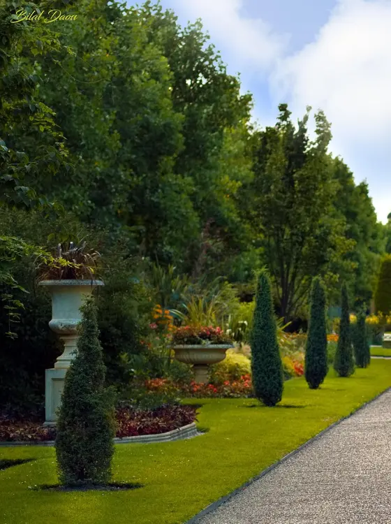Massif de plantes variées