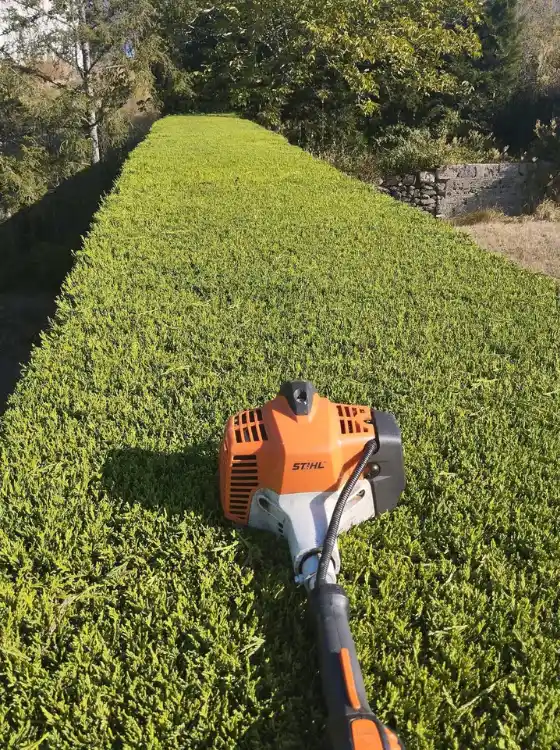 Jardinier taillant des arbustes